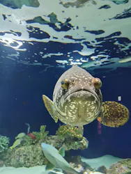 マリンワールド海の中道に投稿された画像（2026/4/3）