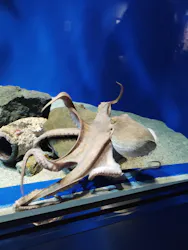 マリンワールド海の中道に投稿された画像（2026/4/3）