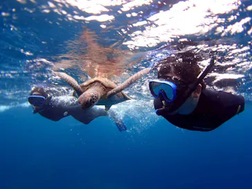 マリンショップ石垣島笑顔向上請負所に投稿された画像（2026/4/3）