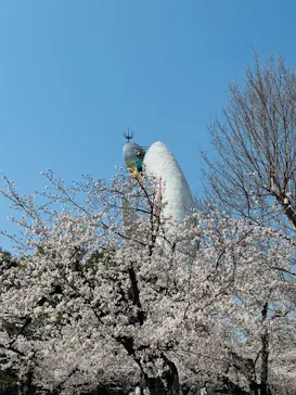 万博記念公園に投稿された画像（2026/4/3）