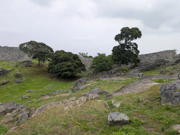 今帰仁城跡に投稿された画像（2026/4/3）