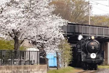 京都鉄道博物館に投稿された画像（2026/4/3）
