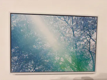 mirror, mirror, mirror mika ninagawaに投稿された画像（2026/4/3）