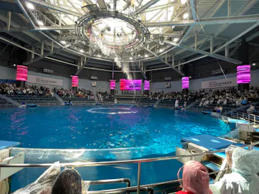 マクセル アクアパーク品川に投稿された画像（2026/4/3）