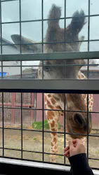 那須サファリパークに投稿された画像（2026/4/3）