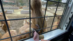 那須サファリパークに投稿された画像（2026/4/3）