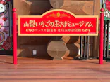 山梨いちごの王さまミュージアムに投稿された画像（2026/4/3）