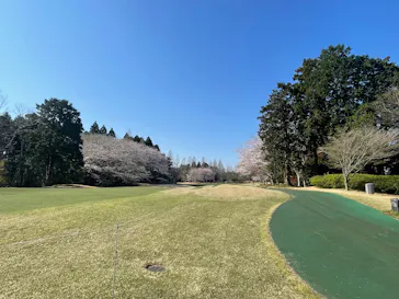 International Series Japanに投稿された画像（2026/4/3）