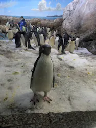 アドベンチャーワールドに投稿された画像（2026/4/3）