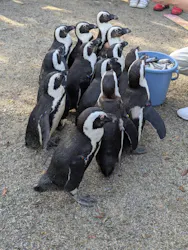 アドベンチャーワールドに投稿された画像（2026/4/3）