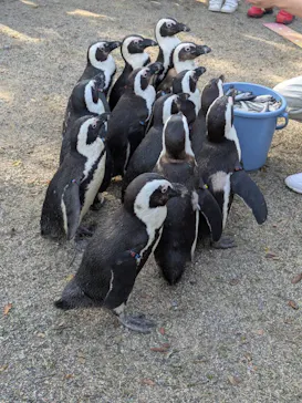 アドベンチャーワールドに投稿された画像（2026/4/3）