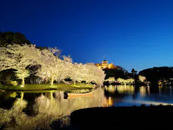 三溪園に投稿された画像（2026/4/3）