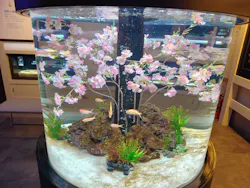 横浜開運水族館 フォーチュンアクアリウムに投稿された画像（2026/4/3）