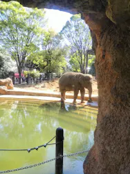 恩賜上野動物園に投稿された画像（2026/4/3）