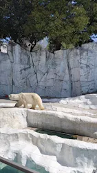 恩賜上野動物園に投稿された画像（2026/4/3）