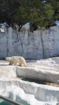恩賜上野動物園に投稿された画像（2026/4/3）