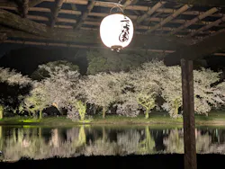 三溪園に投稿された画像（2026/4/3）