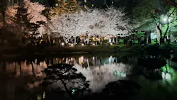 広島県縮景園に投稿された画像（2026/4/3）