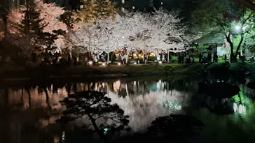 広島県縮景園に投稿された画像（2026/4/3）