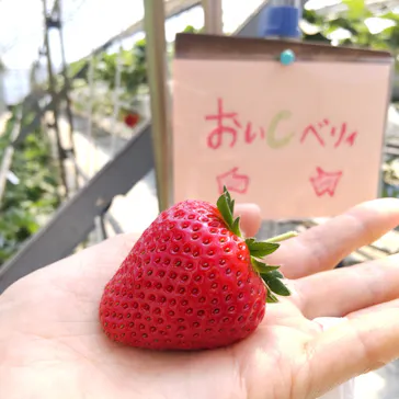 いちごランドに投稿された画像（2026/4/3）