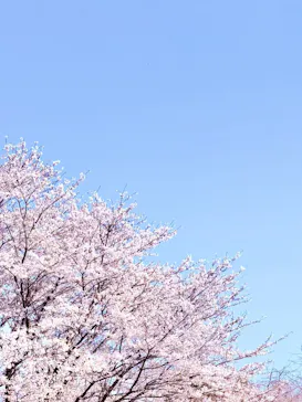 鈴鹿サーキットに投稿された画像（2026/4/3）