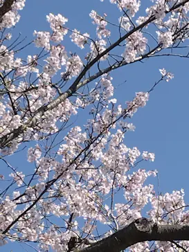 鈴鹿サーキットに投稿された画像（2026/4/3）