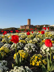 志摩スペイン村パルケエスパーニャに投稿された画像（2026/4/3）