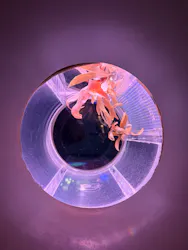 島根県立 しまね海洋館に投稿された画像（2026/4/3）