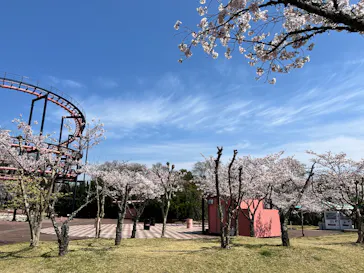 みろくの里に投稿された画像（2026/4/3）