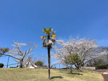 みろくの里に投稿された画像（2026/4/3）