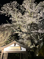 有馬温泉 太閤の湯に投稿された画像（2026/4/3）