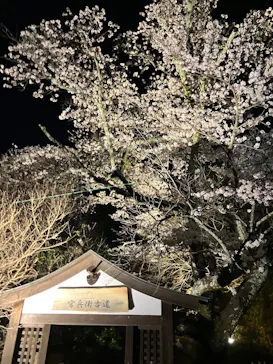 有馬温泉 太閤の湯に投稿された画像（2026/4/3）