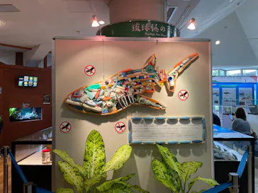 沖縄美ら海水族館に投稿された画像（2026/4/3）