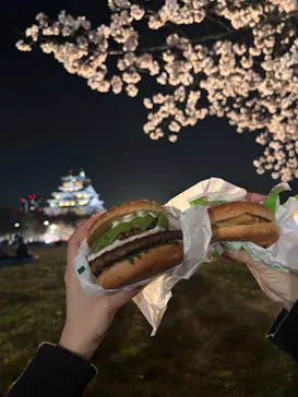 大阪城公園 西の丸庭園に投稿された画像（2026/4/3）