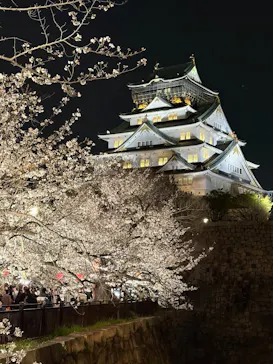 大阪城公園 西の丸庭園に投稿された画像（2026/4/3）