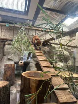 天王寺動物園に投稿された画像（2026/4/3）