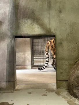 天王寺動物園に投稿された画像（2026/4/3）