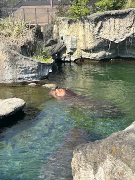 天王寺動物園に投稿された画像（2026/4/3）
