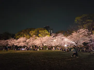 大阪城公園 西の丸庭園に投稿された画像（2026/4/3）