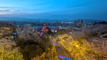 ひらかたパークに投稿された画像（2026/4/3）