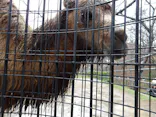 秋田市大森山動物園に投稿された画像（2026/4/4）