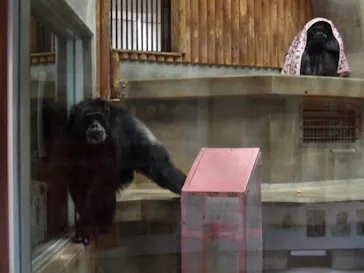 秋田市大森山動物園に投稿された画像（2026/4/3）