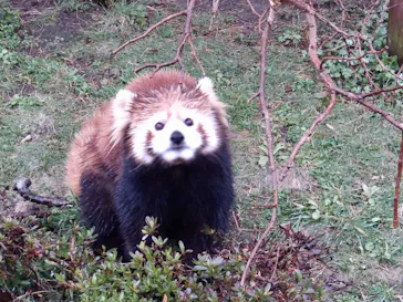秋田市大森山動物園に投稿された画像（2026/4/3）