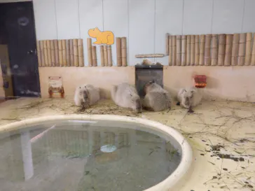 秋田市大森山動物園に投稿された画像（2026/4/3）