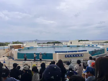 沖縄美ら海水族館に投稿された画像（2026/4/3）