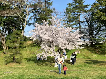 松江城に投稿された画像（2026/4/3）