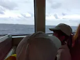 セルリアンブルーに投稿された画像（2026/4/4）