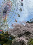 ハーモニーランドに投稿された画像（2026/4/4）