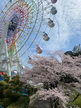 ハーモニーランドに投稿された画像（2026/4/3）