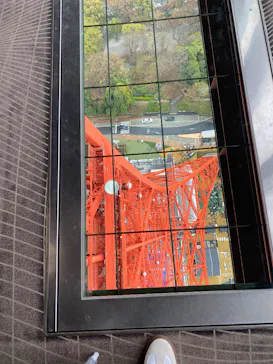 東京タワーに投稿された画像（2026/4/3）